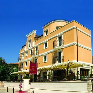 Cittar Novigrad Istria